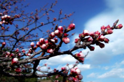 春風十里  萬通有禮