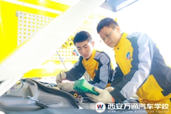 ̾WИIİlչǰô