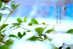 西安萬通，陪你一起經歷這四季輪回