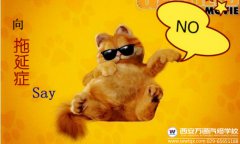 專業升級優惠升級，這樣的選擇簡直了