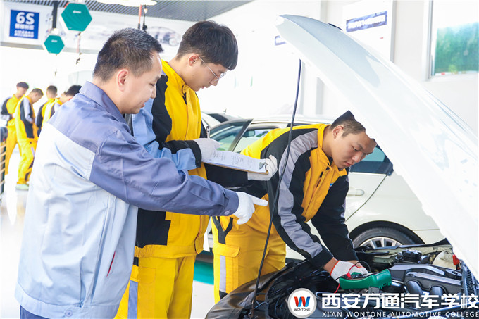 愛車遇到小毛病，萬姐給你支支招！