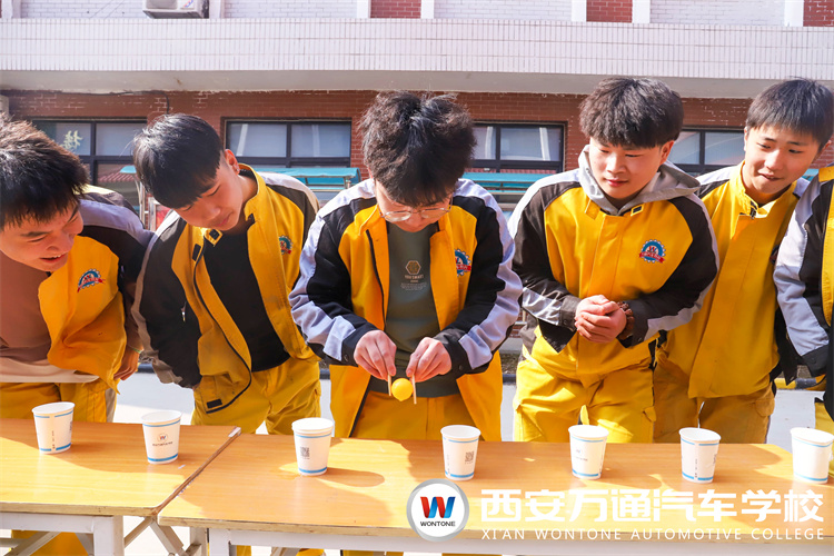 新學期，萬通新生開展素質拓展，團結力量,斗志昂揚