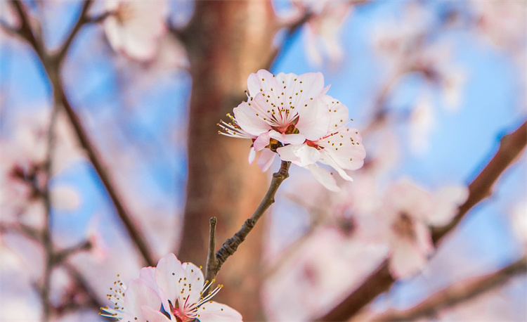 方圓之間，感受萬通的美