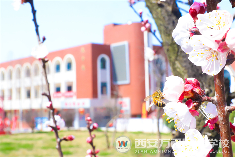 “元素周期表”中尋找西安萬通關鍵詞！